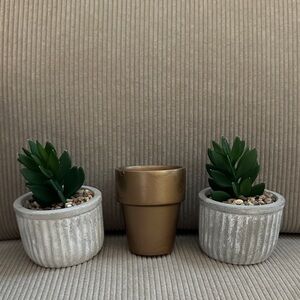 Gold and Green Succulent Planter Set Shelf Decor